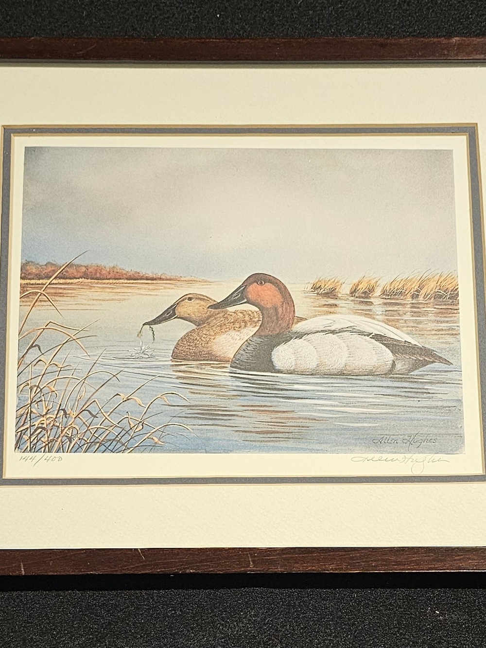 Framed Allen Hughes Canvas Duck Artwork in Brown and Cream